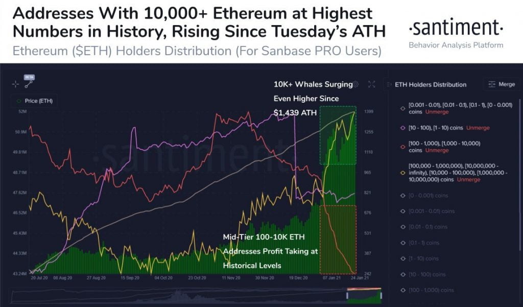 Ethereum Whales Are Increasing as Smaller ETH Addresses Take Profits 3