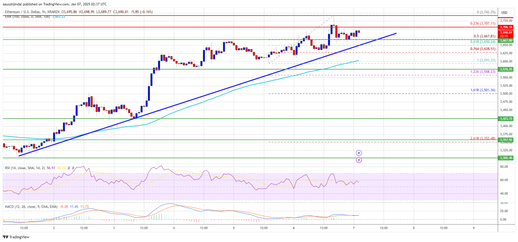 Ethereum Price